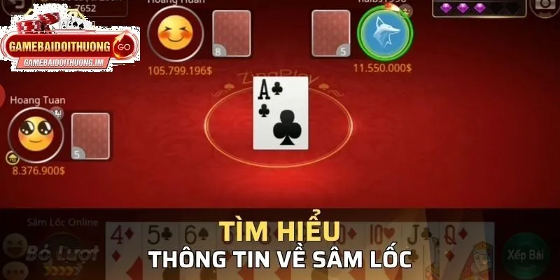 tong quan ve sam Tổng quan về Sâm
